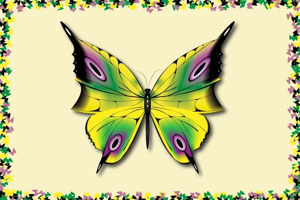 Vector mariposa — Vector de stock