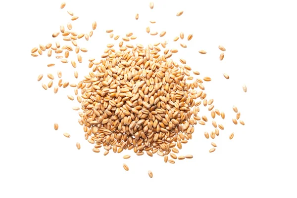 Семена пшеницы на белом фоне — стоковое фото