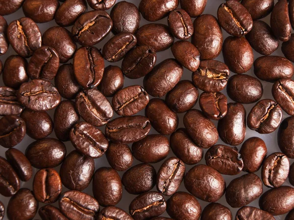 Koffiebonen textuur achtergrond — Stockfoto