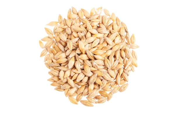 Barley seeds isolated on white Royalty Free Stock Photos