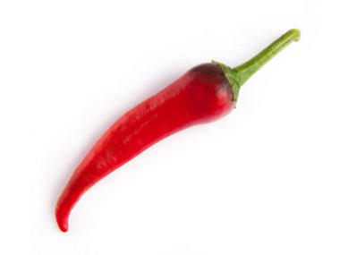 Acı biber beyaz üzerine izole