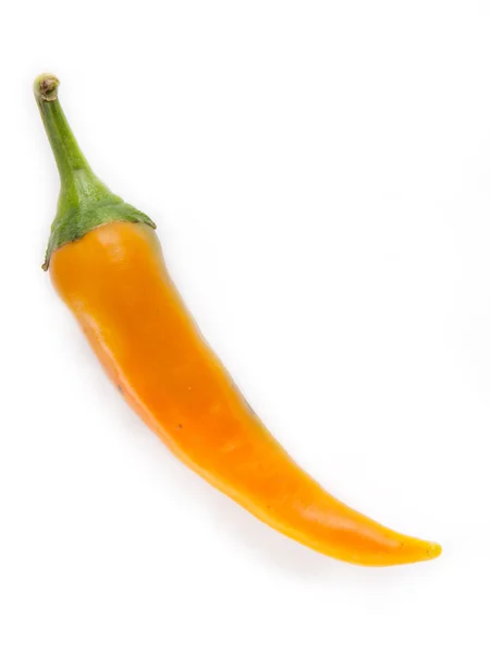 Hete peper geïsoleerd op wit — Stockfoto