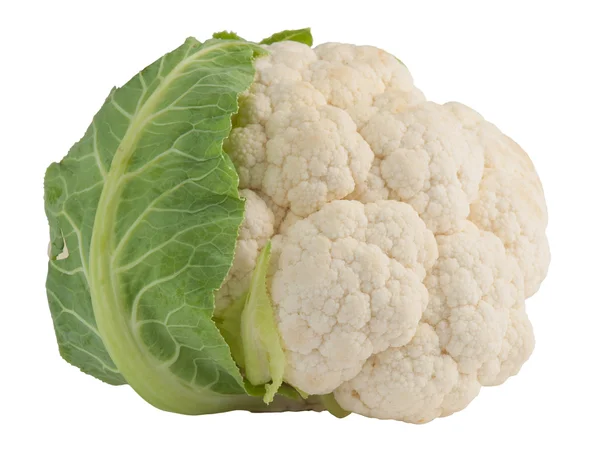 Cauliflower on white background — Stock Photo, Image