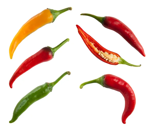 Set of hot peppers isolated on white — Stock Photo, Image