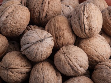 Ceviz dokulu arka plan