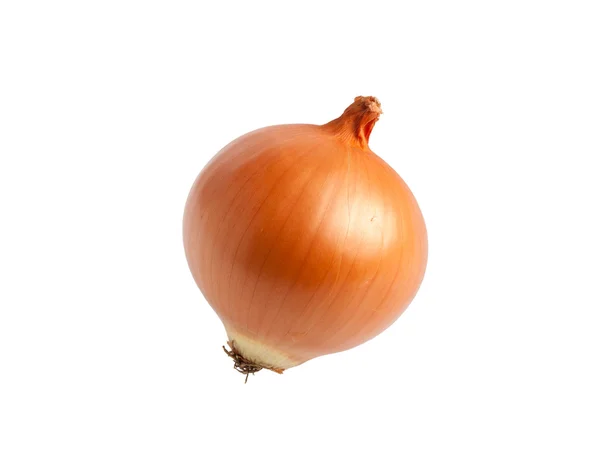Beyaz arka plan üzerinde izole altın soğan