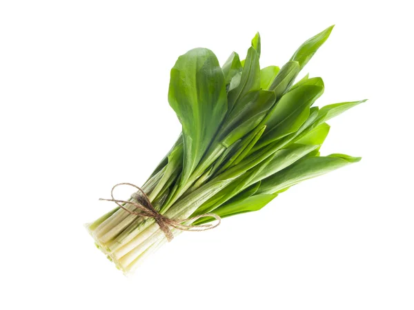 Ramson bouquet de légumes isolé sur fond blanc — Photo