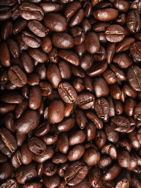 Achtergrond koffiebonen — Stockfoto