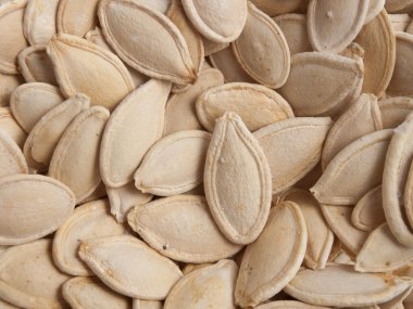 Kabak çekirdeği arka planı