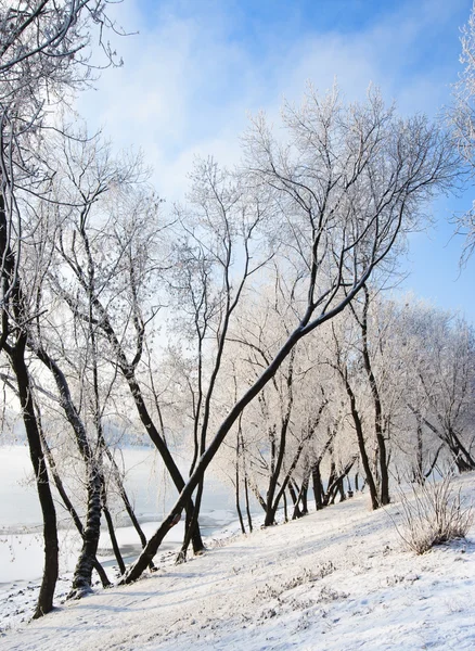 Aterro de inverno — Fotografia de Stock