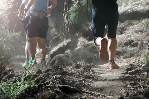 Бігуни біжать в осінньому лісі під час гірського марафону — стокове фото