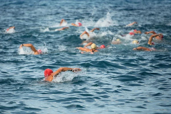 Gruppe schwimmt im Neoprenanzug auf See — Stockfoto