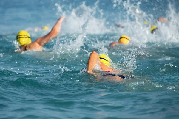 Grupo de nadadores nadam no mar azul — Fotografia de Stock