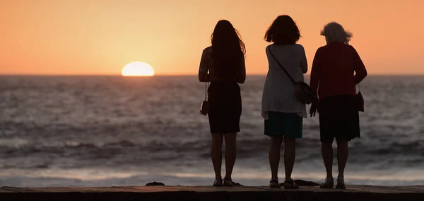 Silhueta Mulheres Sensuais Assistindo Pôr Sol Praia — Fotografia de Stock