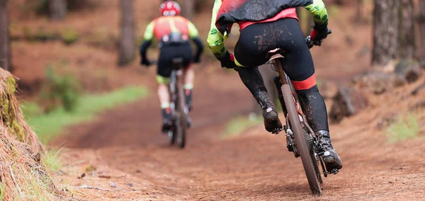 Mountain Bikers Andar Bicicleta Trilha Única Corrida Bicicleta Montanha — Fotografia de Stock