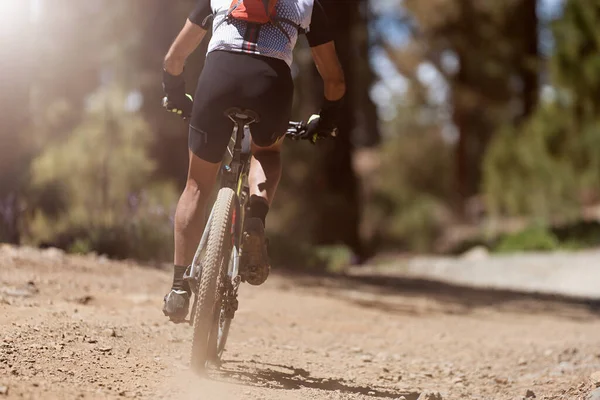 夏の山の森の風景の中で自転車に乗るマウンテンバイクの男 — ストック写真