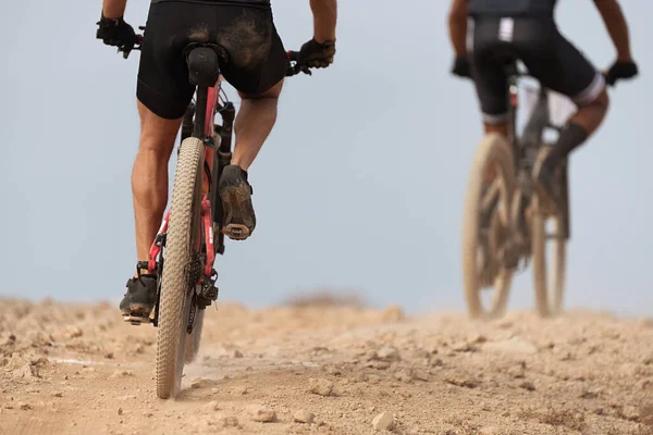 Ciclista Montaña Montando Bicicleta Sendero Una Sola Pista Vista Trasera —  Fotos de Stock