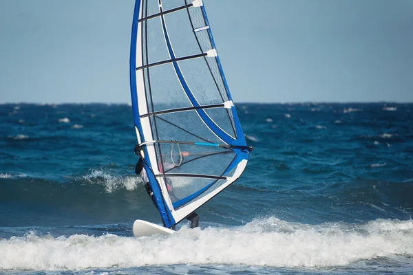 Windsurfing fun in the ocean — Stock Photo, Image