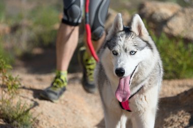 Köpek ve sahibi popüler bir kanikros yarışına katılıyorlar.