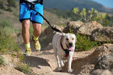 Köpek ve sahibi popüler bir kanikros yarışına katılıyorlar.