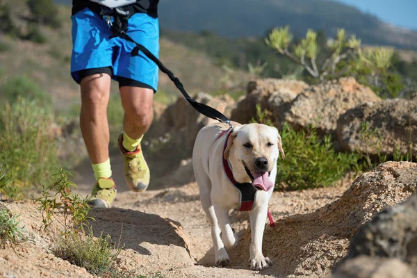 Cão e seu proprietário participando de uma corrida popular canicross — Fotografia de Stock