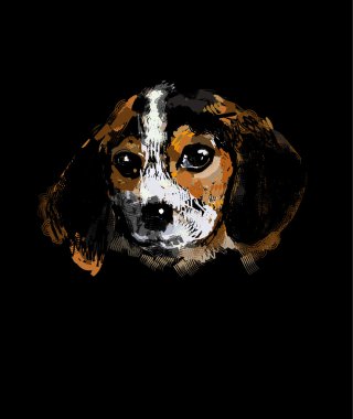 Bir köpeğin portresi.