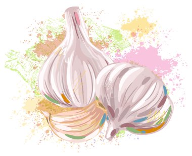taze sarımsak