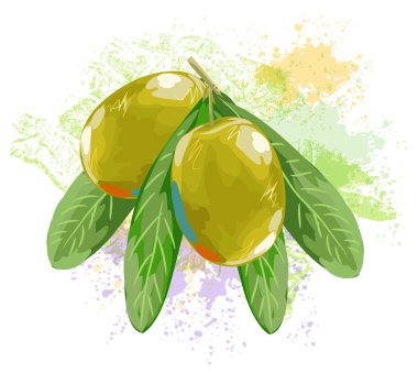Yeşil Zeytin