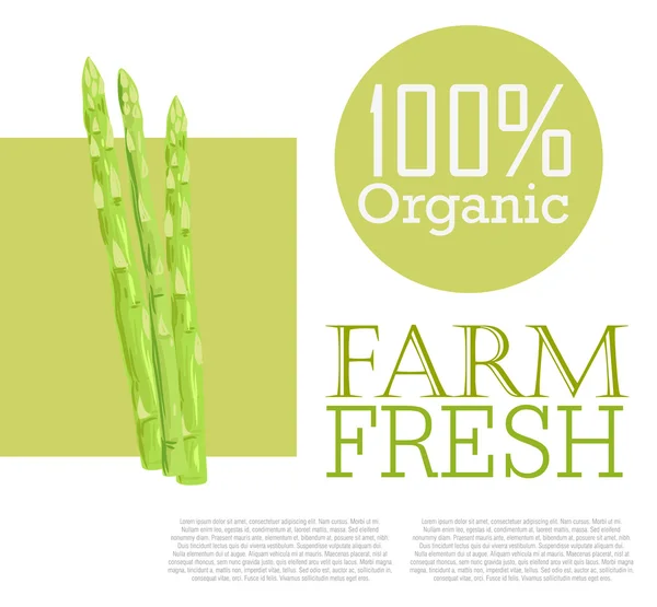 Fresh Asparagus — Stock Vector