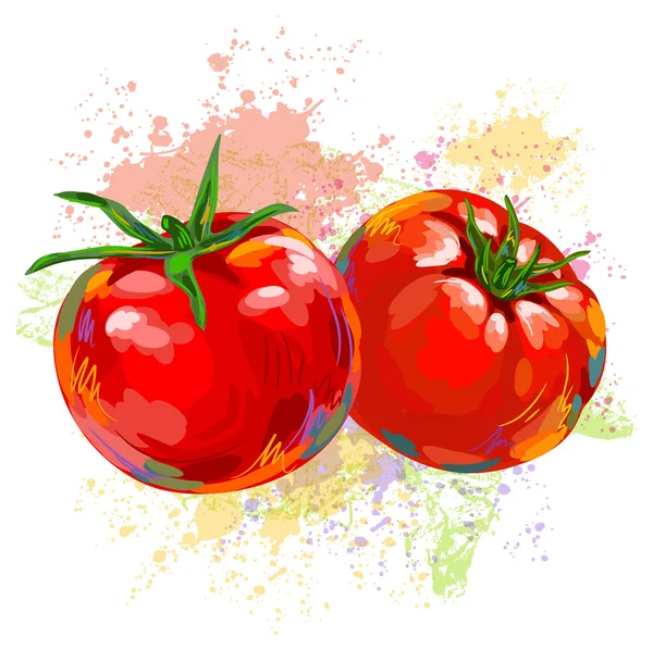 Fresh Tomatoes — Stock Vector