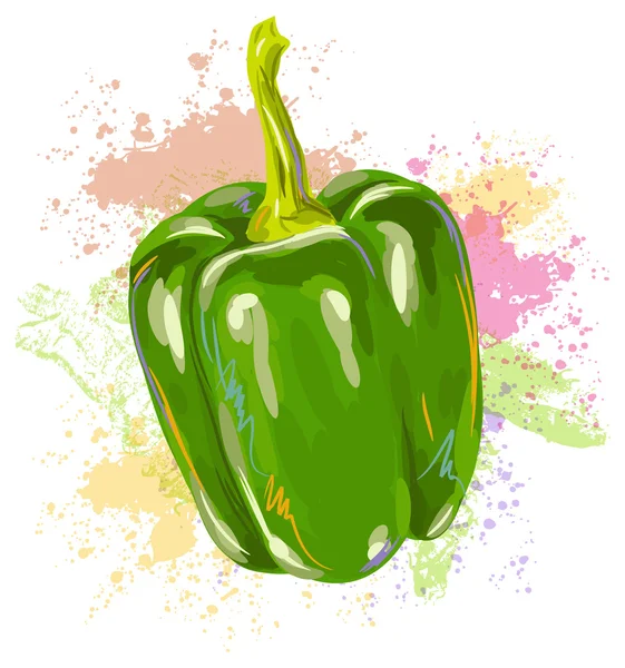 Green Bell Pepper — Stock Vector