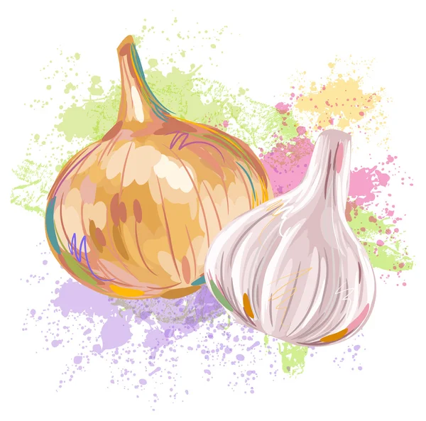Onion and Garlic — Stock Vector