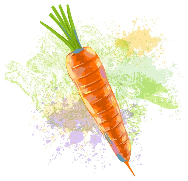 Fresh Carrot — Stock Vector