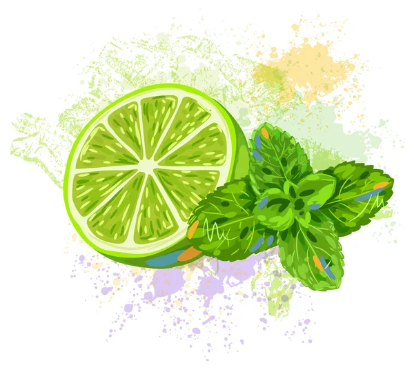 Lime e menta — Vettoriale Stock