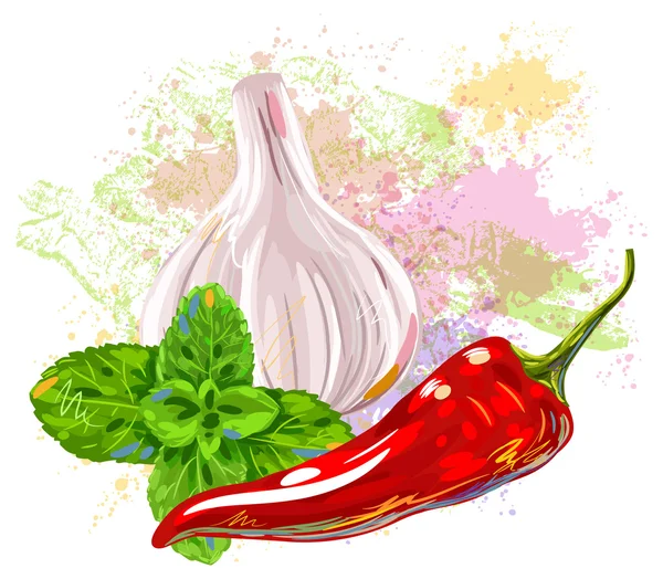 Ail, menthe et piment — Image vectorielle