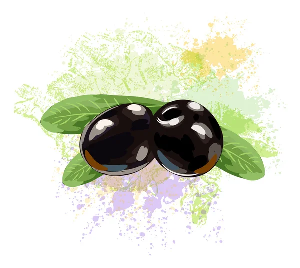 Black Olives — Stock Vector