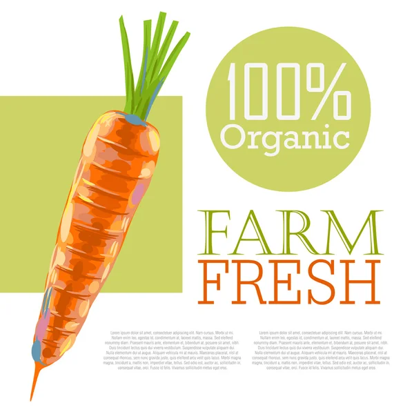 Fresh Carrot — Stock Vector