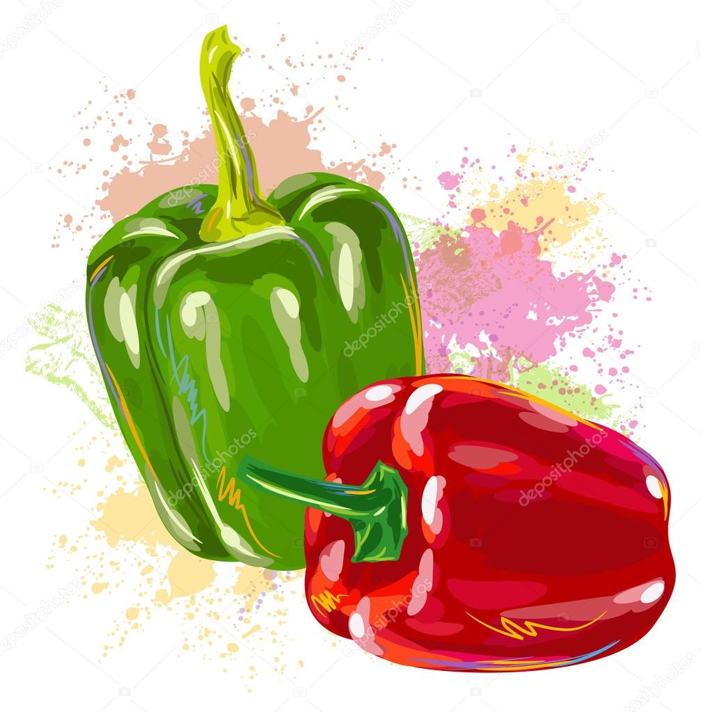 Red And Green Bell Peppers Vectorafbeelding Door C Vedvid Arts Vectorstock