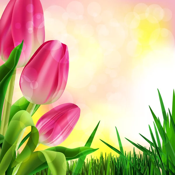 Primavera sfondo con tulipani — Vettoriale Stock