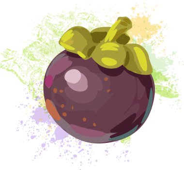 Mangosteen noktalar boya