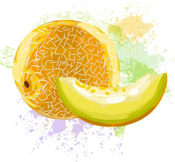 Melón en manchas de pintura — Vector de stock