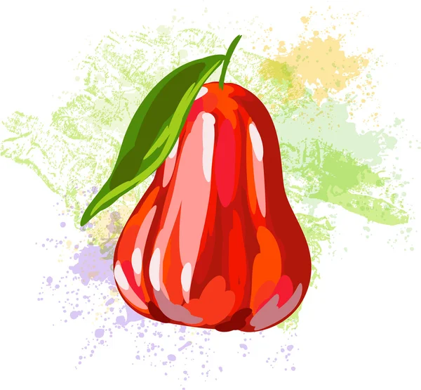 Gül elma ya da chomphu