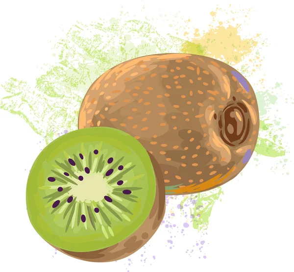 Fruto kiwi sobre fondo de manchas grunge — Vector de stock