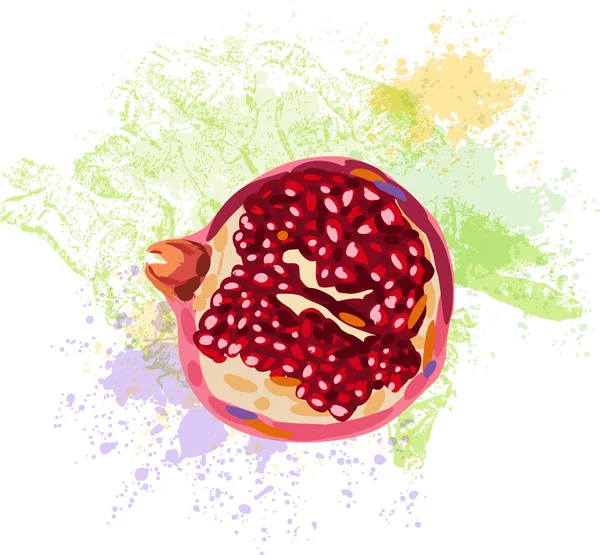 Pomegranate slice on background of grunge spots — Stock Vector