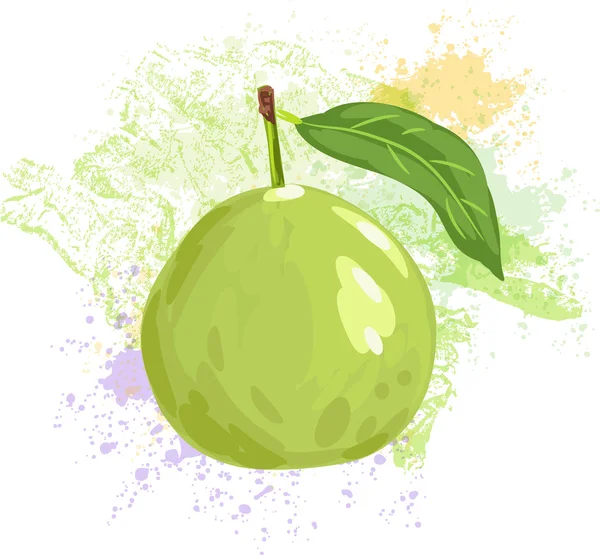 Guava på ställen av färg — Stock vektor