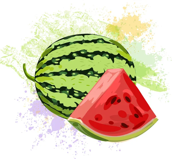 Meloun a vodní meloun výseč — Stockový vektor