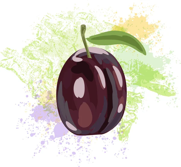 Plum on spots of paint — Stock Vector