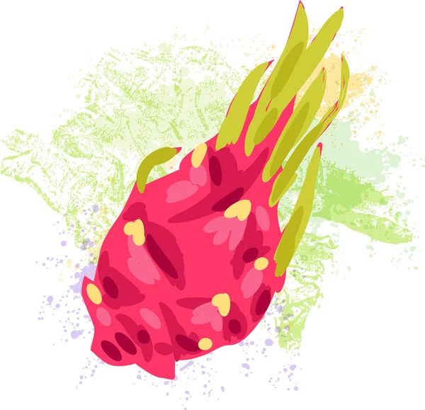Dragon frukt på ställen av färg — Stock vektor