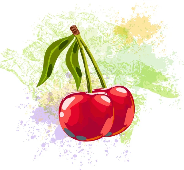 Cherry berries on  spots of paint — Stock Vector