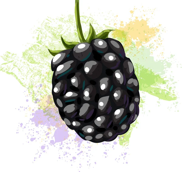 Blackberry on spots of paint — Stock Vector